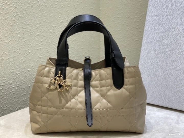 Christian Shopping NewStyle Dior Bags 66600 0712